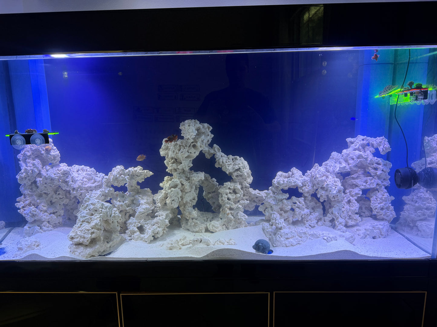 Custom Aquascape step 1